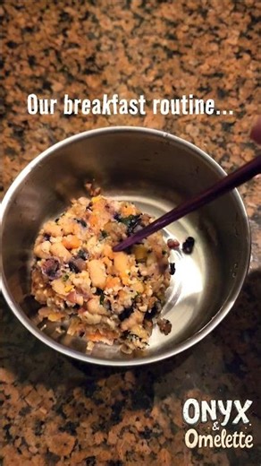 Bird Room Service- Breakfast Edition 😆🥰 #birdfood #starlings #birds