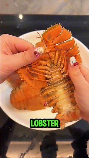 This Slipper Lobster is SO Meaty! #usa #shorts