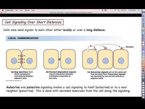 Human Physiology - Cell Communication Lecture Part 1 - Long-distance vs. Short-distance signaling