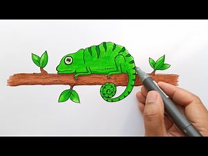 How to Draw A chameleon step by Step easy