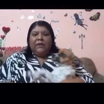 #AIMEP3 ATACANDO A #CHIWIS 🙏😞