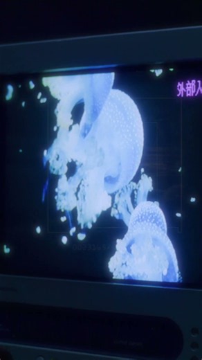 おいしくるメロンパン「bedroom swimmer」Music Video #shorts