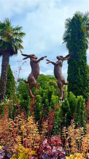 Island stays just hit ‘Best of the Best’ status 🌟 We’re excited to share that @greenhillsjersey and the @pommedorhotel have been recognised in the Top 25 Best of the Best Hotels in the UK and Channel Islands by @tripadvisor as voted by Tripadvisor travellers 🏨 Tucked away in the lush countryside with timeless charm, The Greenhills Country House Hotel ranks at #5, earning the top spot in the Channel Islands 🐇🍃 Take a peek and discover why it’s capturing the hearts of guests 🎥 And let’s not f