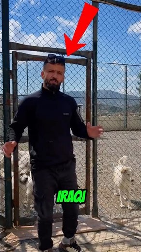 See what this Iraqi man has done to dogs🐕