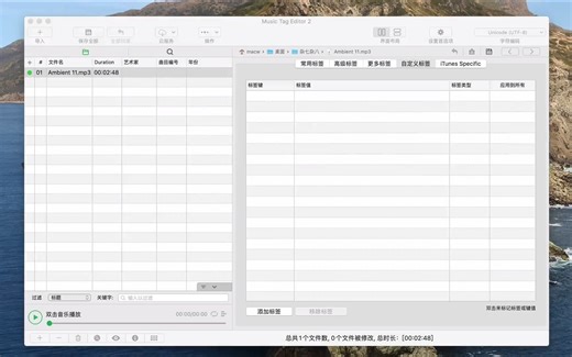 Music Tag Editor 2 for Mac(音频标签编辑器)__v5.7.3中文激活版