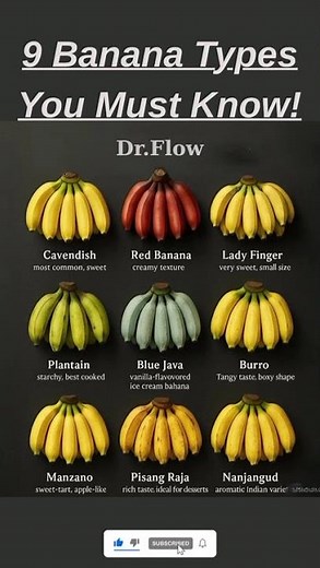 9 Delicious Banana Varieties Explained!