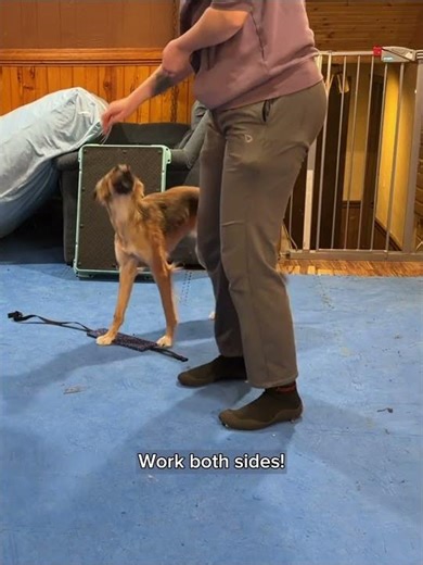 Beginning Teeter Foundations: Drive to the Position | Ravi