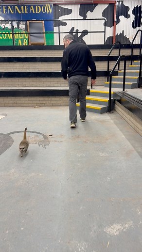 7.7K views · 108 reactions |  Behind the Scenes with A & S Animal...