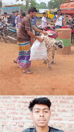 মজার ফানি ভিডিও ফর ইউ ভিডিও ইউটিউব ভিডিও সবাই ভিডিও টি ভালো লাগলে একটা শেয়ার করে পাশে থাকবেন