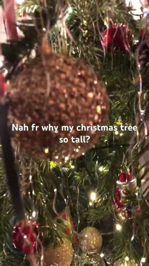Mega christmas tree 🎄🎄#funny #christmas#tree#talltree#