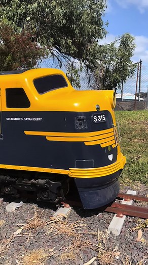 Introducing S315 'Sir Charles Galvin Duffy' - Victorian Railways A7 S Class Model