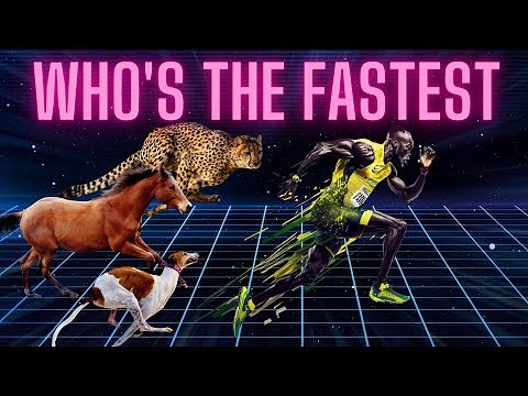 Top 10 Fastest Land Animal in the World