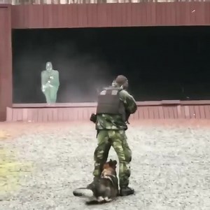 753K views · 6.4K reactions |  Live Fire Exercise. #RangeDay  #followtheleader  : @132.sakkomp_sjo . | Swedish Army Veteran | Facebook