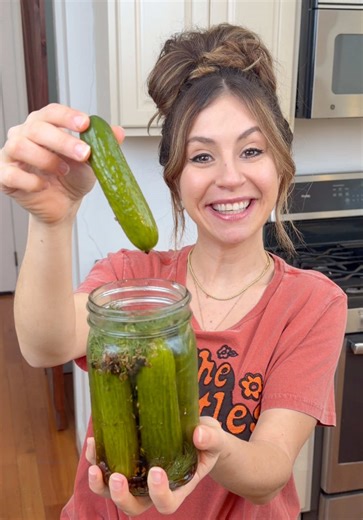 easy DIY dill pickles here is how i make delicious vinegar pickles, these stay in the fridge! they aren't shelf stable. so yummy! if you have never fermented, pickled, or canned anything before, check out the USDA's guide and do some research yourself before you get started! #pickles #pickling #britneyspears #cooking #fyp This video is for entertainment purposes only.