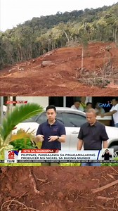 Mina (Brooke's point palawan) (2023) | Joe Danico