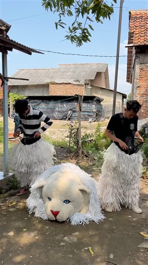 Tutorial cara memakai kostum can macanan