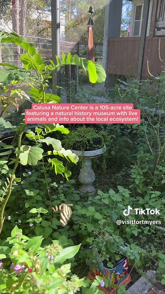 Discover Calusa Nature Center & Planetarium
