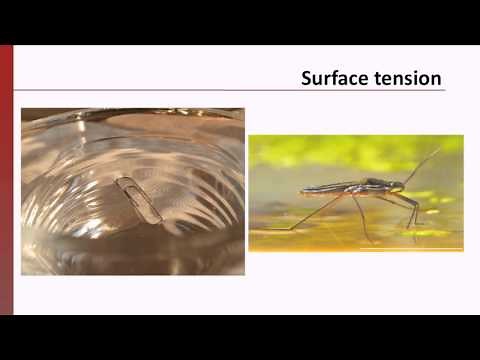 Problem Solving Process