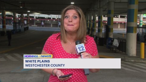 Westchester County lawmakers consider legislation to address Bee-Line Bus fare evasion