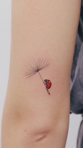 Cute Ladybug Tattoo Designs by Jia Tattooer