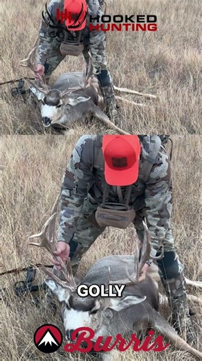 Crazy Non Typical Mule Deer! #nontypicaldeer #muledeerhunting #backcountryhunting #riflehunting