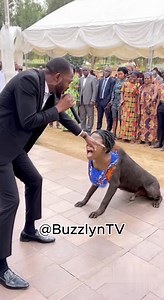 8.2K views · 44 reactions | Half Dog, Half Human omo tins dey happen oo! #Fyp #Fypシ #ViralVideo #TrendingNow #ForYou #ExplorePage #ViralAfrica #AfricaVibes #RealLifeMoments #IncredibleScene #UnbelievableButTrue #MustWatch #EmotionalVideo #PowerfulMoment #FaithAndFire #DeliveranceMoment #JesusSaves #HolySpiritPower #DivineEncounter #MiracleScene #lagos #ghana #lagostiktok #kenyatiktok #kenya #nigeria #nigeriatiktok #southafricatiktok | ViralVideos25 | Facebook