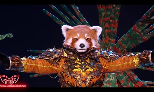 Mask singer 2025 - Le Panda Roux chante "L'amour brille sous les étoiles" de la comédie musicale "Le Roi Lion"