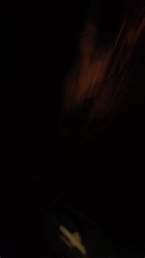 Videos de Carolina bebé 😘😍🤙😍 (@maritzacarolina0) con “Riptide - Vance Joy”