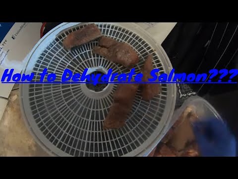 How to Dehydrate Salmon??? #Dehydrator #Salmon
