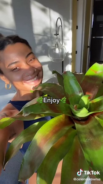Proper Bromeliad Watering Techniques: A Complete Guide