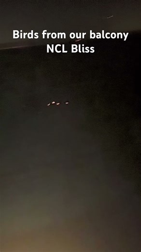 Balcony view from the NCL Bliss