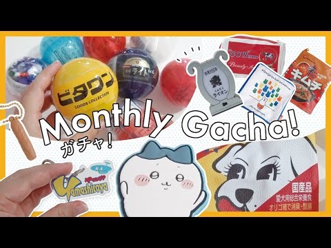 - Monthly Gacha! 2023 - 7月のガチャガチャ【vol.2】ポーチ祭り開催☀️純喫茶看板ライト✨ちいかわ・ミッフィーなどなど