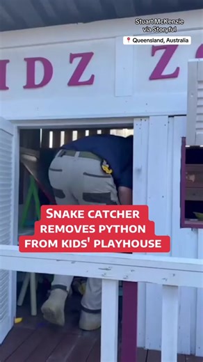 Snake Catcher Rescues Python from Kids' Playhouse in Australia