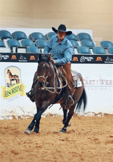 Embracing Loose Reins in Bridle Horse Riding