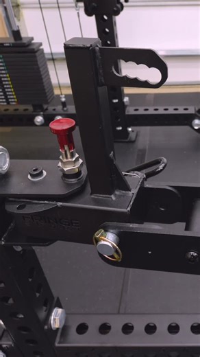 TheJungleGymReviews on Instagram: "The @fringesport Mammoth is a fully customizable belt squat rack attachment with adjustable length, mounting types, optional kickstand, and different loading options and now available is the Swan Neck adapter/attachment which allows for pivoting use and upright storage of the Mammoth from a wall or power rack upright. Full review of both is now on YouTube - link in my bio."