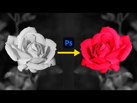 How to Colorize Black & White Flower in Photoshop | Flower Colorization Tutorial 2025