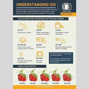 34 reactions | [Ends Tonight] ATTENTION PHOTOGRAPHERS!! Do you prefer to learn by doing? Grab the Snap Cards: Essentials – A new selection of 20 printable key photography cheat sheets to help you learn and master photography on-the-go. If you missed your copy the last time, they are available again and on sale right now for a limited time offer of $7. | Photzy | Facebook