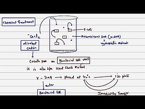BIOTECHNOLOGY (PRINCIPLES & PROCESS)||CH09 || NCERT || PART.08||BIOLOGY||CLASS 12TH