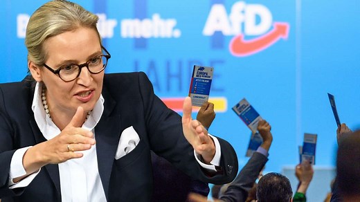AfD-Wahlprogramm 2025: Die Zusammenfassung zur Bundestagswahl
