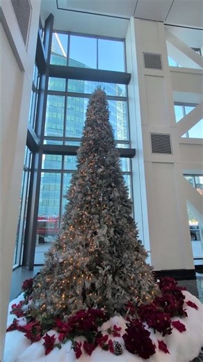 Citibank Building's Tremendous Christmas Tree Touchdown