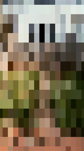 Timelapse of Garden Transformation Through Construction