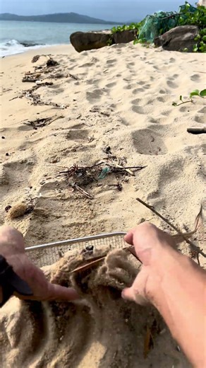 Beach Cleanup – Hidden Treasure: Just Trash This Time! 😅🗑️