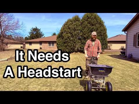 EASY Steps to Give Your Lawn it's BEST Chance // Plus Lime Soil Amendments