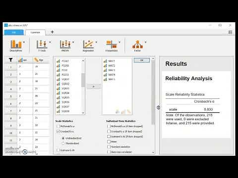 Cronbach's alpha with JASP