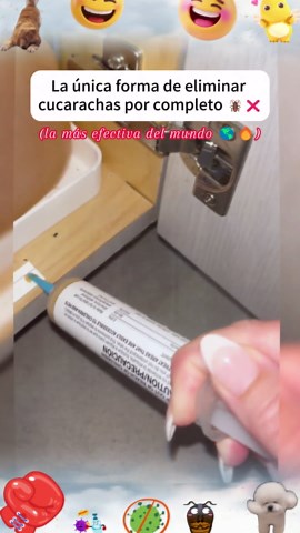 MAX international on TikTok