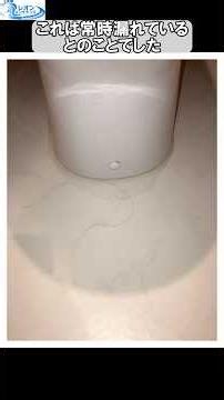 Fixing a Leaking SS371BABF Ball Tap #shorts #toilet #waterleak #leakingwater #balltap #TOTO #repa...