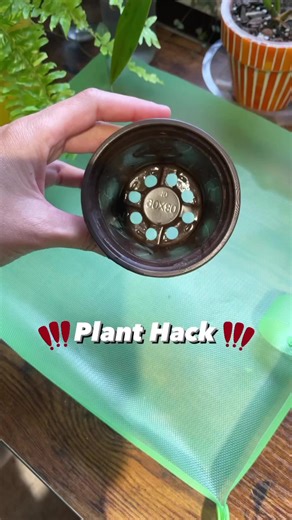 191K views · 962 reactions | Who else does this with their nursery pots? Works like a charm! 華 #houseplants #planthacks #lifehacks #plantcare #repotting #plantsmakepeoplehappy #plantlover #houseplantclub #houseplantcommunity | Easy Growing | Facebook