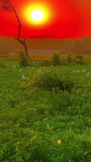 MahaZ Khan on TikTok