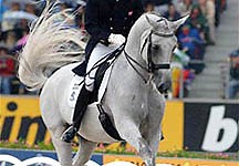 Blue Hors Matine put down after breaking leg - Horse & Hound