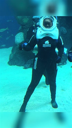 Discover Sea Trek: An Unforgettable Experience in Tampa